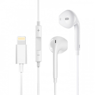 Прихід: Lightning навушники та перехідник SkyDolphin