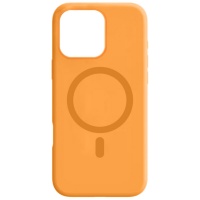 101786