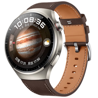 ремінець hoco wh10 для watch band (22mm) (coffee) 