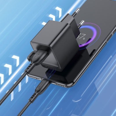 мережевий зарядний пристрій borofone bas11a 1usb/10.5w + (usb - microusb) (чорний) 