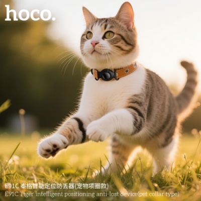 gps-трекер hoco e91c (білий) 