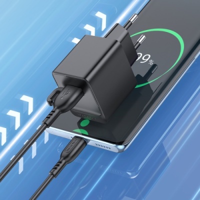 мережевий зарядний пристрій borofone bas11a 1usb/10.5w + (usb - type-c) (чорний) 