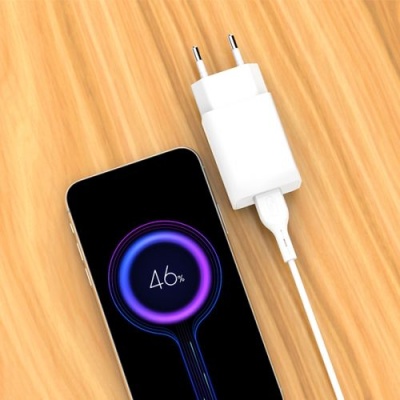 мережевий зарядний пристрій skydolphin sc36t 1usb/2.4a + (usb - type-c) (білий) 